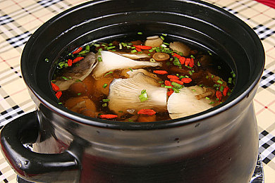 羽毛球叶朝颖叛变｜“我国羽毛球名将叶朝颖宣布加盟国外队伍，引发业界热议与反思”-1