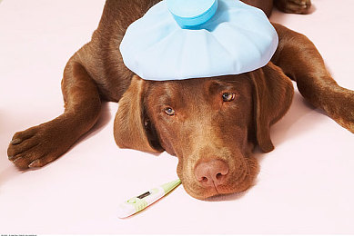 下载秀色直播APP下载｜畅游秀色，尽享视听盛宴-1