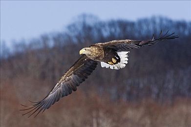 六月直播|六月直播盛宴:跨界融合,共创未来媒体奇迹-1