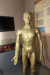 帥體育生國產亞洲GV｜国產运动品牌崛起，帥體育生引领亚洲运动健将新潮流-1