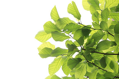 国产av传媒｜文化冲击下的心理自省与合规探寻-1