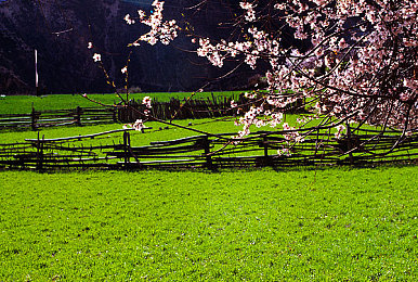 花样直播|畅游花样直播,趣味无限,共创互动盛宴-1