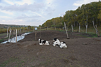78m隐藏通道5｜神秘逃生通道大揭秘：78米隐秘通道5，应急利器解锁生存术-1
