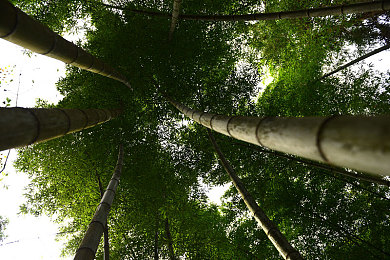 寡妇亲子伦一区二区｜伦理纠葛：寡妇与继子间的家庭纷争之旅-1