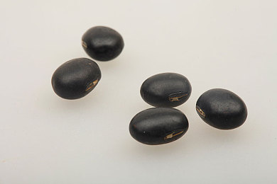 99re热6免费｜揭秘“99re热6免费”：警惕免费陷阱，守护个人信息安全-1