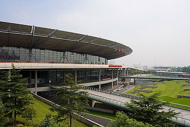 水母娘娘40公分消失术|海洋奇观:揭秘水母娘娘神秘40公分消失术,探索海洋奥秘之旅-2