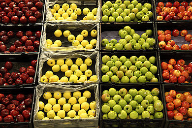 男人挺进雌性物动ZZZ｜虚拟爱恋新境界，畅游“男进女动”幻境之旅-1