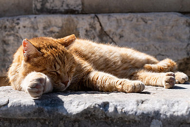 色多多导航｜“揭秘色多多导航：网络色情传播的隐形通道，青少年身心健康遭受重创，政府重拳出击，共筑清朗网络环境”