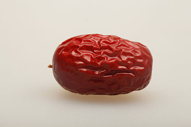 《兽娘通信～鸟娘露瑟亚》｜鸟娘露瑟亚：和谐通信，守护自然之梦