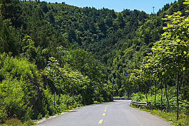 300元快餐不限次数加微信｜畅享美食，微信加V，300元不限次快餐盛宴-1