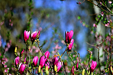 黄色软件app下载3.0.3免费装扮2025|“时尚焕新,个性无限:“黄色软件app”3.0.3版本免费装扮来袭,网友热议不断!”-1