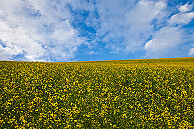 一卡二卡三卡四卡｜支付变革四重奏，科技织就安全未来-1