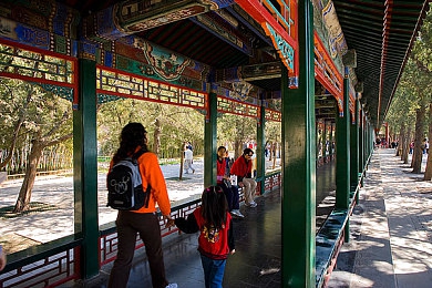 魅影看B站直播可以吗手机｜手机畅游B站直播，互动游戏盛宴来袭-1