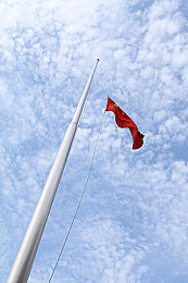 风流肥婆大BBWBBW｜古代风流肥婆传奇：大BBWBBW的智慧之旅