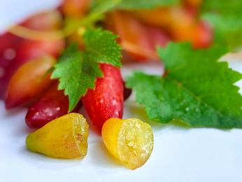 男人用机机桶女人｜网络热议：男子“机机桶”言论引争议，专家解析性别平等观念混乱现象-2