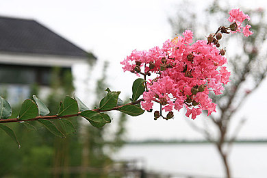 真实国产乱子人伦｜亲情危机：债务漩涡中的家庭救赎