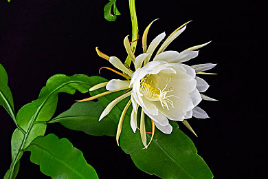 最污app｜探秘笑点乐园，共享欢乐时光