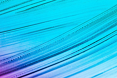 最高爱人诏三上｜帝王诏书传深情，最高爱人三上书，千古传奇动人心-1