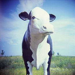 一口气穿10件连体紧身衣憋尿｜挑战极限，健康守门，十衣憋尿大挑战