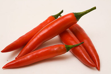 性别 自由凸轮 管中国｜“性别解放新航标：中国探索性别自由凸轮，共筑平等多元社会”-1