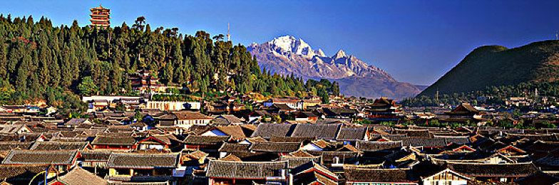 国产又粗又长｜“龙形奇物引爆市场，国产创新再掀高潮，国产又粗又长引领潮流”