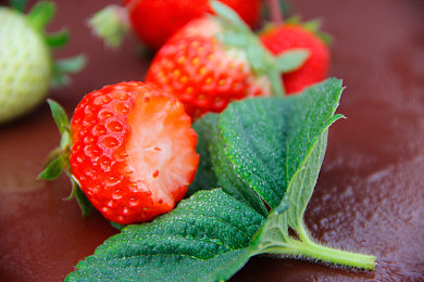 打扑克又叫又痛｜扑克竞技：紧张刺激，智慧较量，身心挑战-1