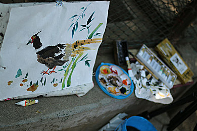 大菠萝福建官方人口2024｜“福建人口新画卷：2024年数据解析与未来展望，挑战与机遇并存”-1