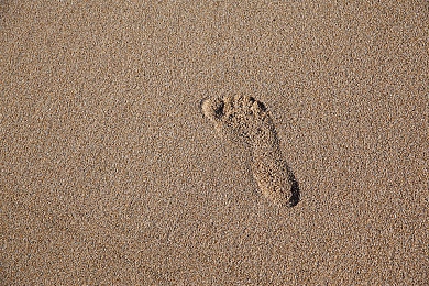 男女搞鸡网站｜网络净化行动：揭秘“男女搞鸡”网站，共筑清朗网络空间-1