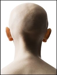 10000个有效实名认证|解锁万实名,信誉领航赢未来:揭秘高效认证之道-1