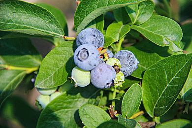 男生和女生一起拆拆拆很痛的真人｜“携手解谜乐无边，男女联手破奇幻之谜”-1