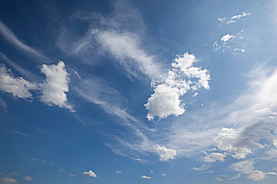 公牛和女人一级|激情碰撞,竞技互动——公牛与女人一级畅游乐园-1