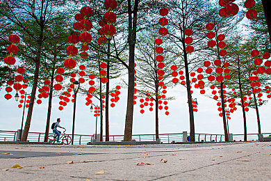 杨敏1至5|娱乐新篇章,杨敏1至5五大亮点演绎生活新境界-1