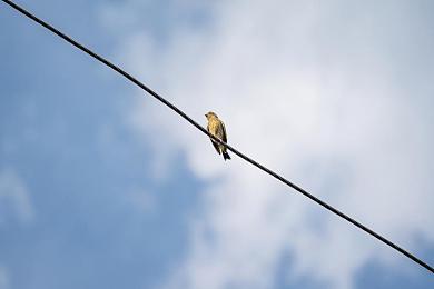 铜铜铜铜铜铜铜铜铜好大好深色｜探索深度铜色魅力：独特质感与耐腐蚀性引领装饰新潮流-1