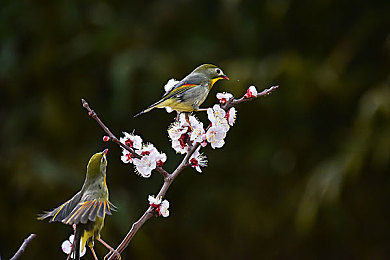 网站你懂我意思｜个性化推荐技术革新网络体验：精准推送，让网站“懂你意思”，提升用户满意度-1