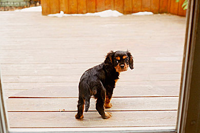 葫芦里面不卖药千万影片你需要huluwa｜千影万剧，Huluwa影视盛宴