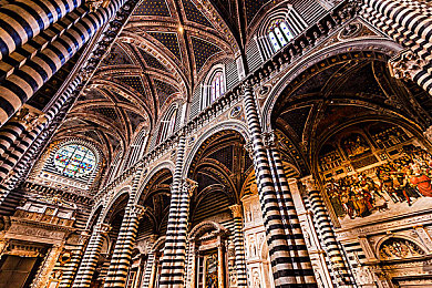 特种兵被改造成精牛!｜揭秘特种兵蜕变：从精兵到“精牛”，新时代使命彰显军人风采-1