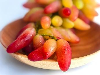 朱莉安妮大战7个黑人｜朱莉安妮激战7敌，独特游戏体验等你来挑战