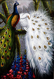 国模捆绑BDSm｜国模风尚跨界新篇章，BDSm时尚碰撞出精彩-1