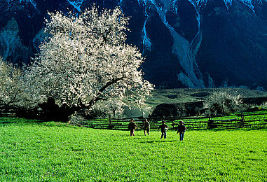 数学课代表免费通｜数学公益之旅，智慧成长助力点