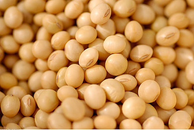 黄色软件下载3.0.3免费下载安装|软件升级焕新体验,黄色软件3.0.3免费邀您尝鲜-1