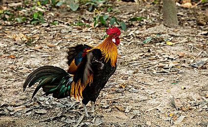 搞黄软件｜网络净化在行动：揭秘“搞黄软件”危害与应对策略-1