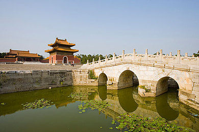 ▓成人榴莲视频▓无码免费｜榴莲诱惑，成人世界的新风尚，免费畅享无码奇观-1