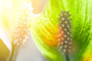 把男生困困放女生困困里｜高校乌龙事件：男生误入女生宿舍，校园安全引关注-1