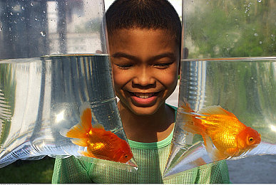 虐茎虐蛋电击榨精虐睾|重塑尊重与保护,共抗性别暴力的阴霾-2