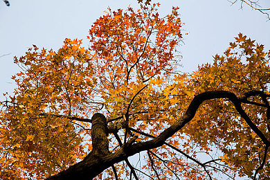 18款禁用app下载｜清朗网络，守护权益：政府重拳出击，禁用18款违规APP-1