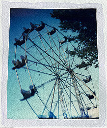 五月丁香｜五月丁香，春日花园中的香韵瑰宝-1