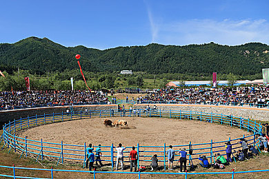 大肉榛征服的警花｜破案奇勋，警花李娜勇闯迷雾-1