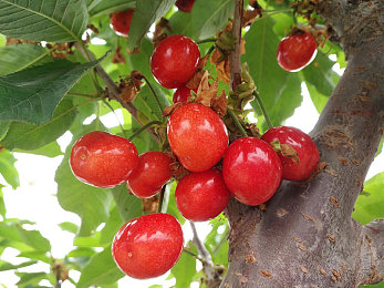 爽 好大 快 深一点视频|《狂野飙车》极致体验:爽快加速,畅享速度激情之旅-1