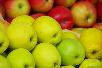 护士faPa性护士free｜白衣天使守护：护士的faPa与free之旅-1