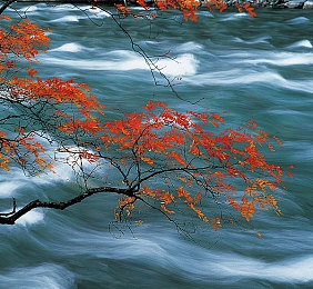 麻花传mv在线观看的最新进展｜麻花喜剧盛宴，笑点反转等你来-1